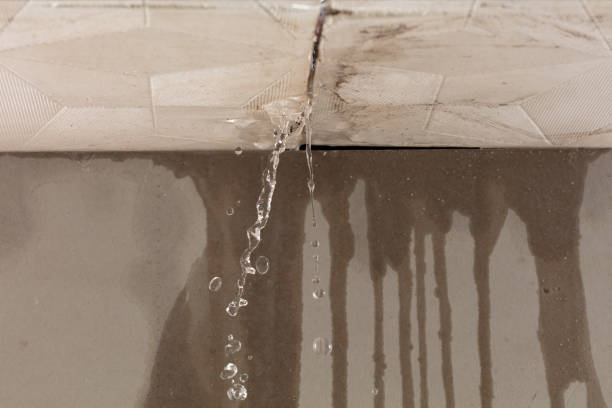 Professional Structural Drying technician working in Sylvania, GA